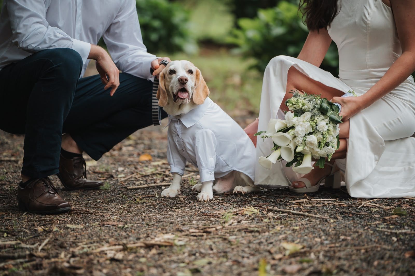 O beagle do casal, de camisa branca, sentado entre Letícia e Pablo agachados na trilha